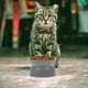thumbnail image 5 of EeaseMX Comedero para gatos con boca oblicua, protector, color gris oscuro, 5 of 7