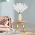 thumbnail image 3 of 20PCS Artificial Pampas Grass Decor – 21.65" Fluffy Bohemian Reed Stems for Wedding, Home, Vase Arrangement (Hypoallergenic, No Shedding), 3 of 5