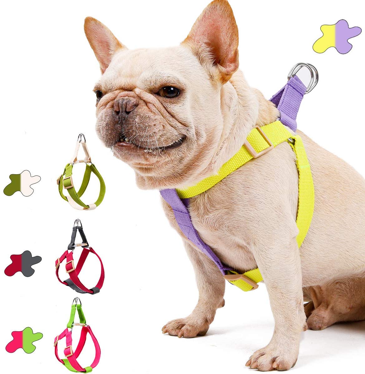 two leash harness