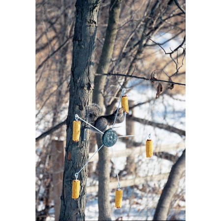 UPC 047977000596 product image for Heritage Farms - Squirrel Go Round Feeder Medium - 75560 | upcitemdb.com