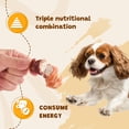 thumbnail image 6 of (5 pack) ASMPET Chicken Wrapped Beef Cartilage with Duck Dog Treats, High Calcium Chewy Dog Soft Bone for Small, Medium, Large Dogs (10.6oz, No Rawhide), 6 of 10