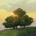 thumbnail image 2 of Purinton, Julia 26x26 White Modern Wood Framed Museum Art Print Titled - Spice Tree, 2 of 4