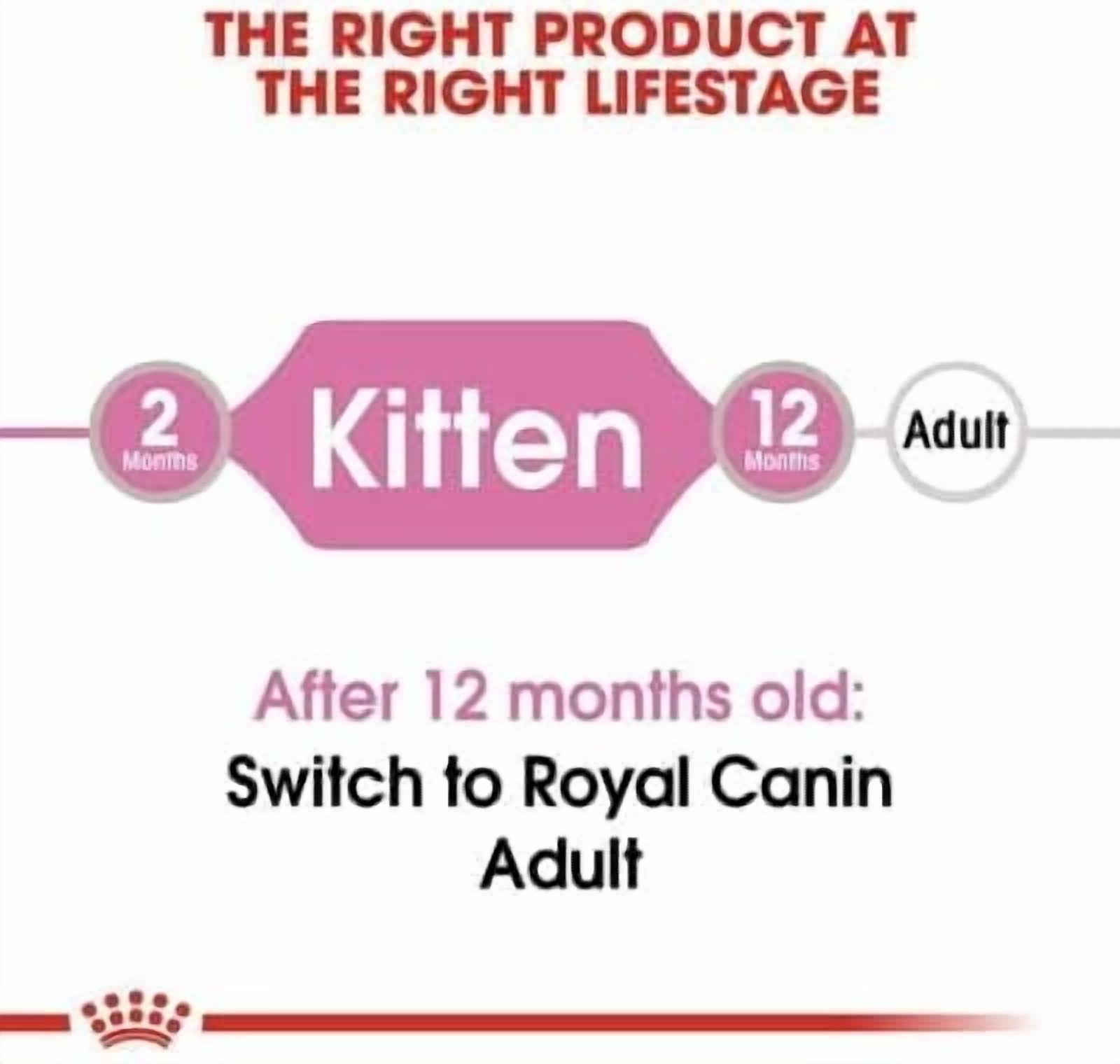 Royal Canin Kitten Wet Food in Loaf 12x85g