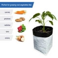 thumbnail image 3 of 30 Gallon Grow Bags Black and White Poly Nursery Bags for Plants, Tree Grow, Greenhouse (10 Pack), 3 of 6