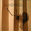 Luomo - Paper Tigers - Electronica - CD