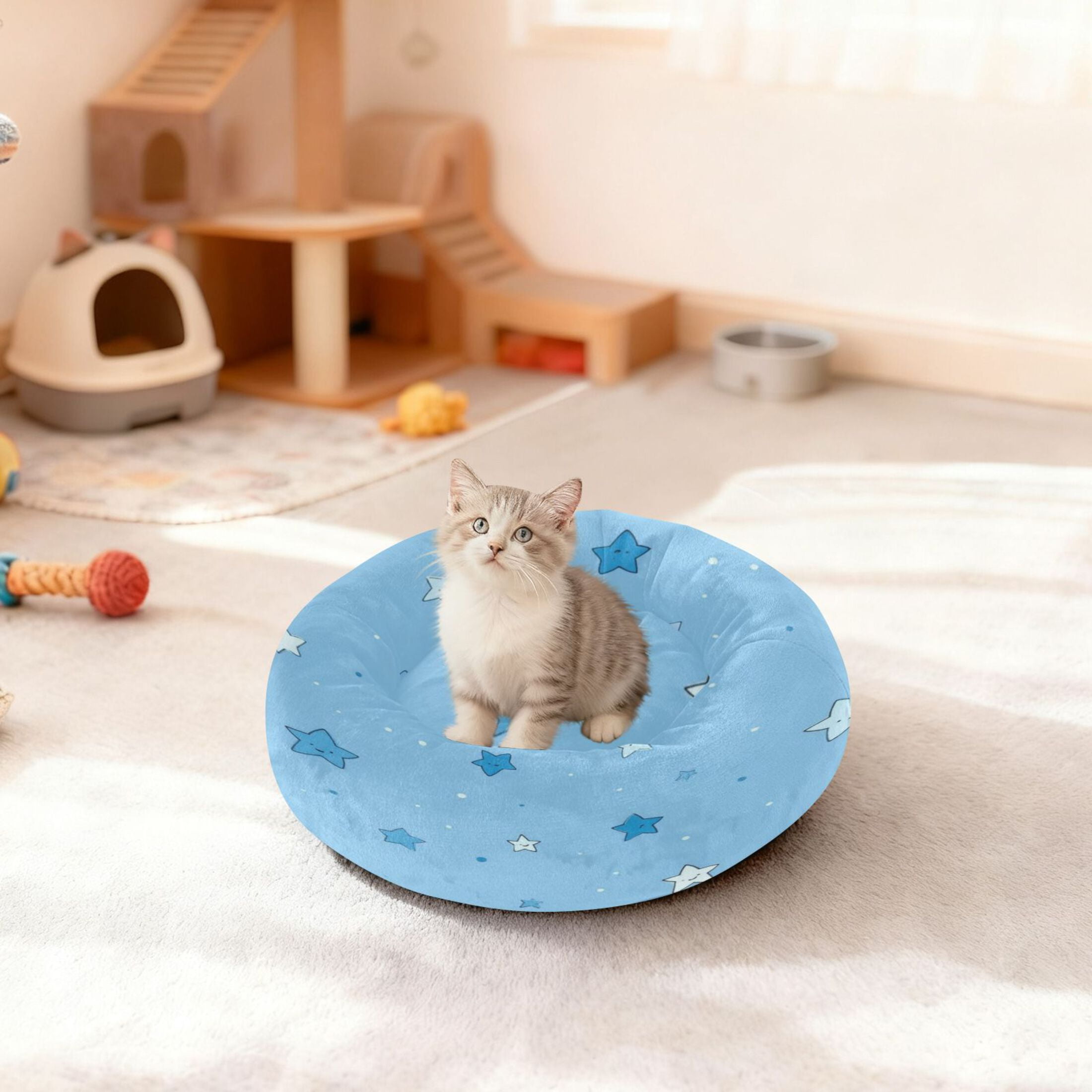 Iauyy Pet Couch Donut Cat Bed for Indoor Cats/Small Dogs Washable & Machine with Non-slip Bottom Calming Cat Furniture, Light Blue Background (M)