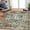Brown, variant on FairOnly 10'x13' Green Vintage Area Rugs Living Room Rugs Washable Ultra-Thin Area Rugs for Home Office Family Room Boho Family Room Carpet