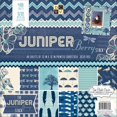 thumbnail image 2 of Paper Stack 12"X12" 48/Pkg-Juniper Berry, 2 of 2