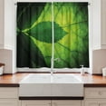 thumbnail image 2 of Ambesonne Green Kitchen Curtains, Brazilian Tree Leaf Eco, 55"x39", Olive and Dark Green, 2 of 3