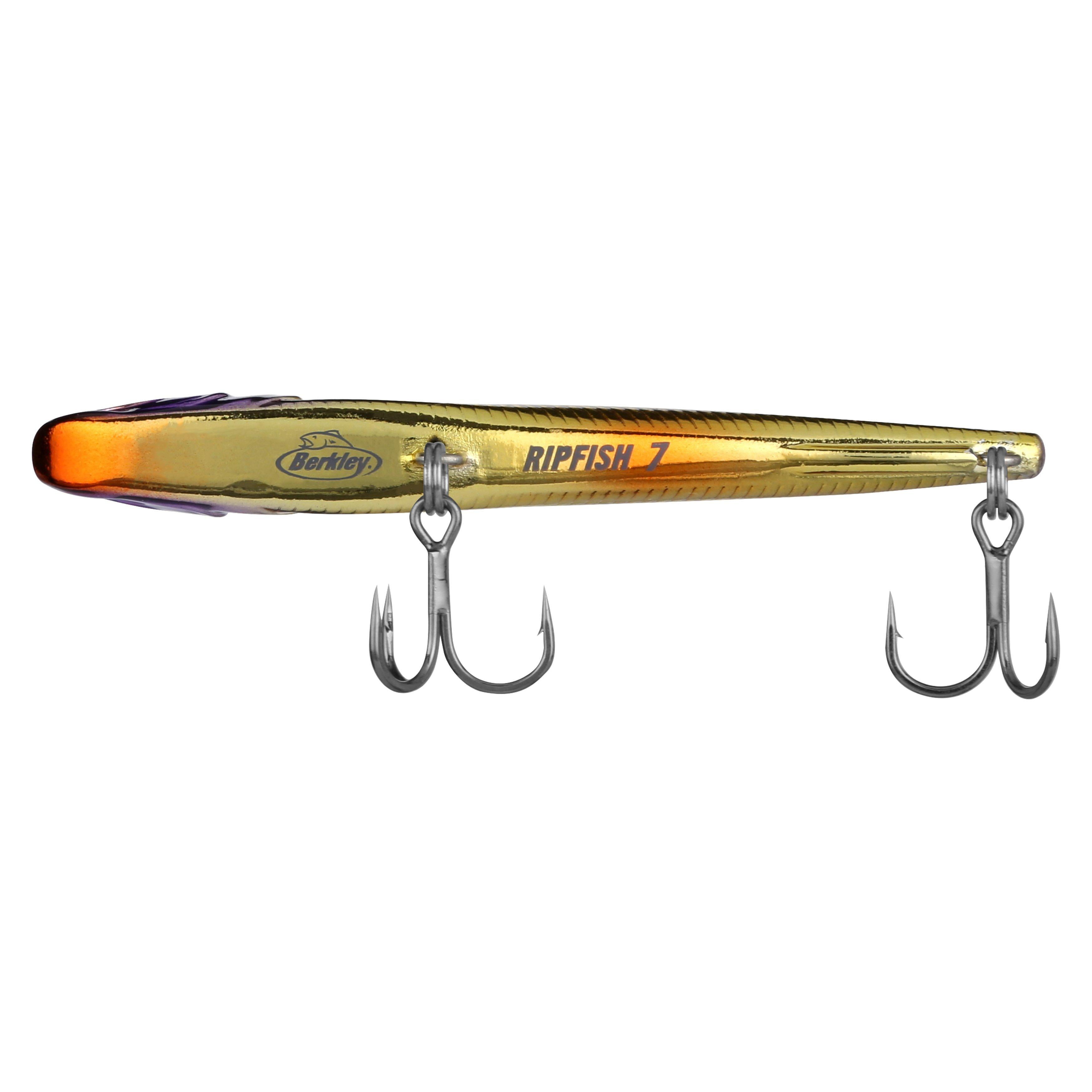 Berkley Ripfish, 7, Viking Perch