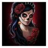thumbnail image 2 of Cuadros Decorativos Calavera dama 5D diamante pintura DIY mosaico cuadrado completo imagen (ZQF8106) Tmvgtek embutido en tela, 2 of 8