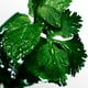 thumbnail image 2 of Desodorante en Barra Davidoff Cool Water para Hombre 70 g Davidoff Davidoff, 2 of 7