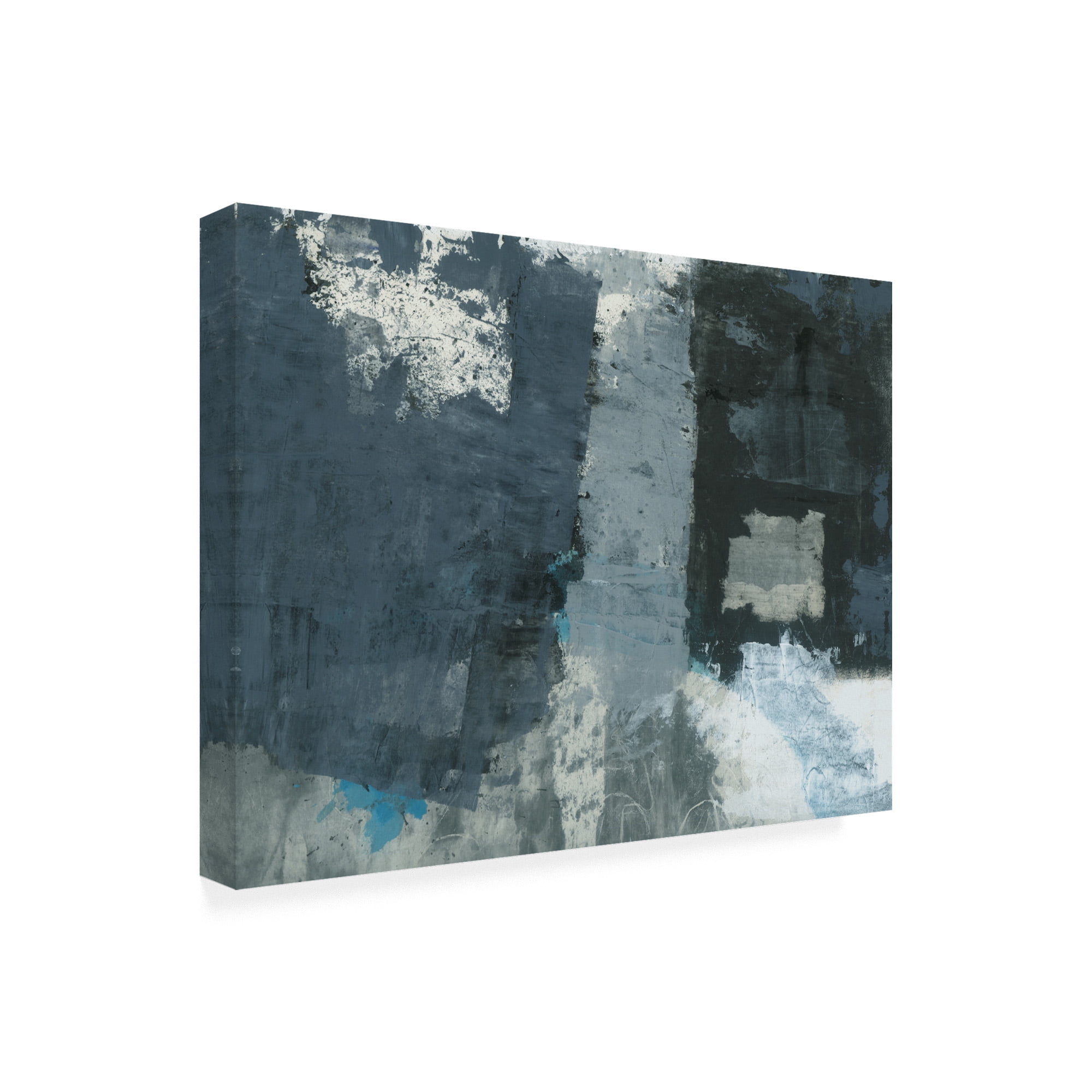Trademark Fine Art 'Shades of Grey IV' Canvas Art by Elena Ray