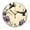 Fclock026, variant on YladaFaie Butterfly Flowers Silent Wall Clock for Bathroom Indoor Decoration No Ticking 10 Inch Round Small Clock for Hospital Classroom Home Living Room
