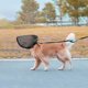 thumbnail image 4 of Cara de perro | Una red de malla transpirable para la cara del perro que protege la cabeza del perro de pinchazos y lesiones con una boquilla transpirable ligera y ajustable, 4 of 5
