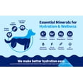 thumbnail image 6 of LYX Essential Hydration for Dogs – Electrolyte & Nutrient Water Enhancer for Active & Senior Dogs – Supports Hydration, Recovery & Wellness – Travel-Friendly Supplement Packets – 7 Count (Chicken), 6 of 10