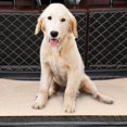 thumbnail image 3 of Reusable Pee Pad Fast Absorbing Waterproof Non-Slip Potty Training Pad, 3 of 4