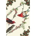 thumbnail image 1 of Christmas Birds and Holly-Fine Art Canvas Print (20" x 30"), 1 of 1