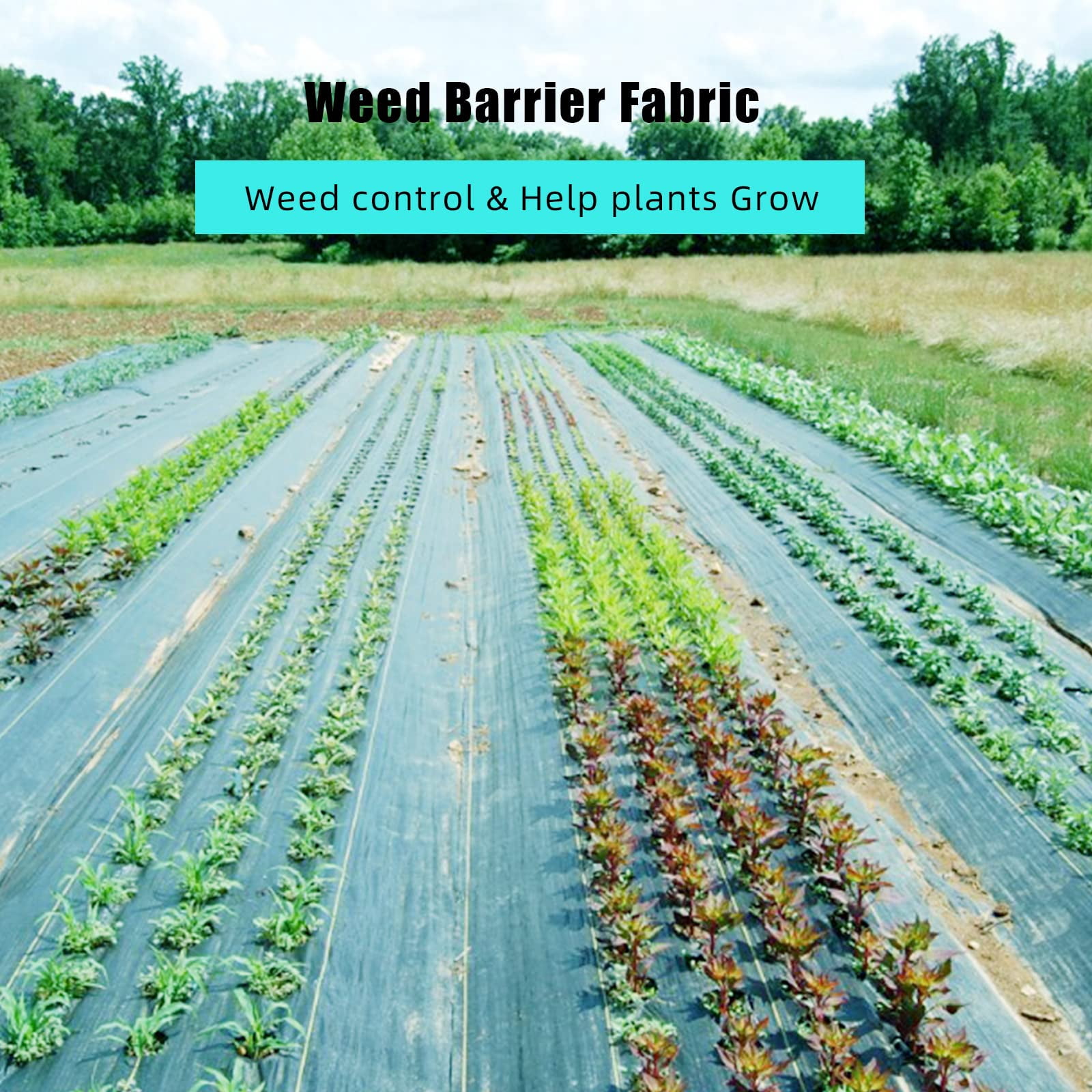 Gaderth Garden Weed Control Cloth,6 Ft x 300 Ft 3.2 Oz Ground Cover Weed Block Gardening Mat, Easy Setup & Superior Weed Control, Geotextile Fabric For Erosion Control, Weed Barrier