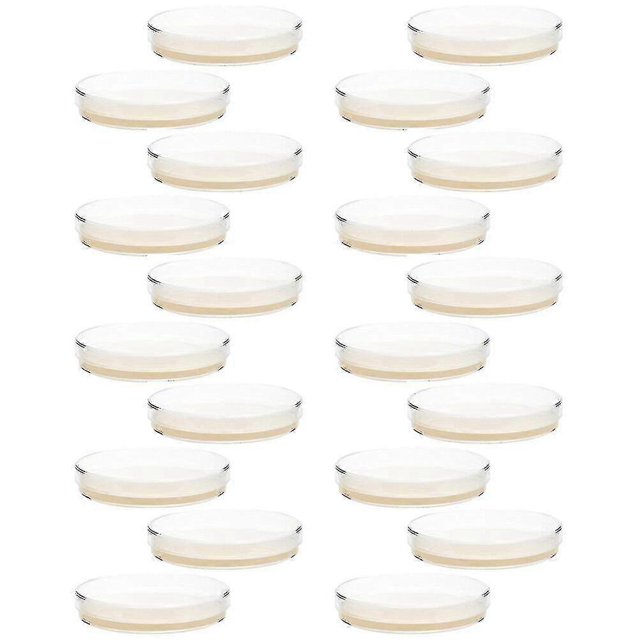 20 Pcs Petri Dishes With Agar Prepoured Agar Plates Science Experiment Supplies