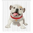 thumbnail image 3 of Ambesonne English Bulldog Shower Curtain, Pure Breed Puppy, 69"Wx84"L, Cream Red Pink, 3 of 3