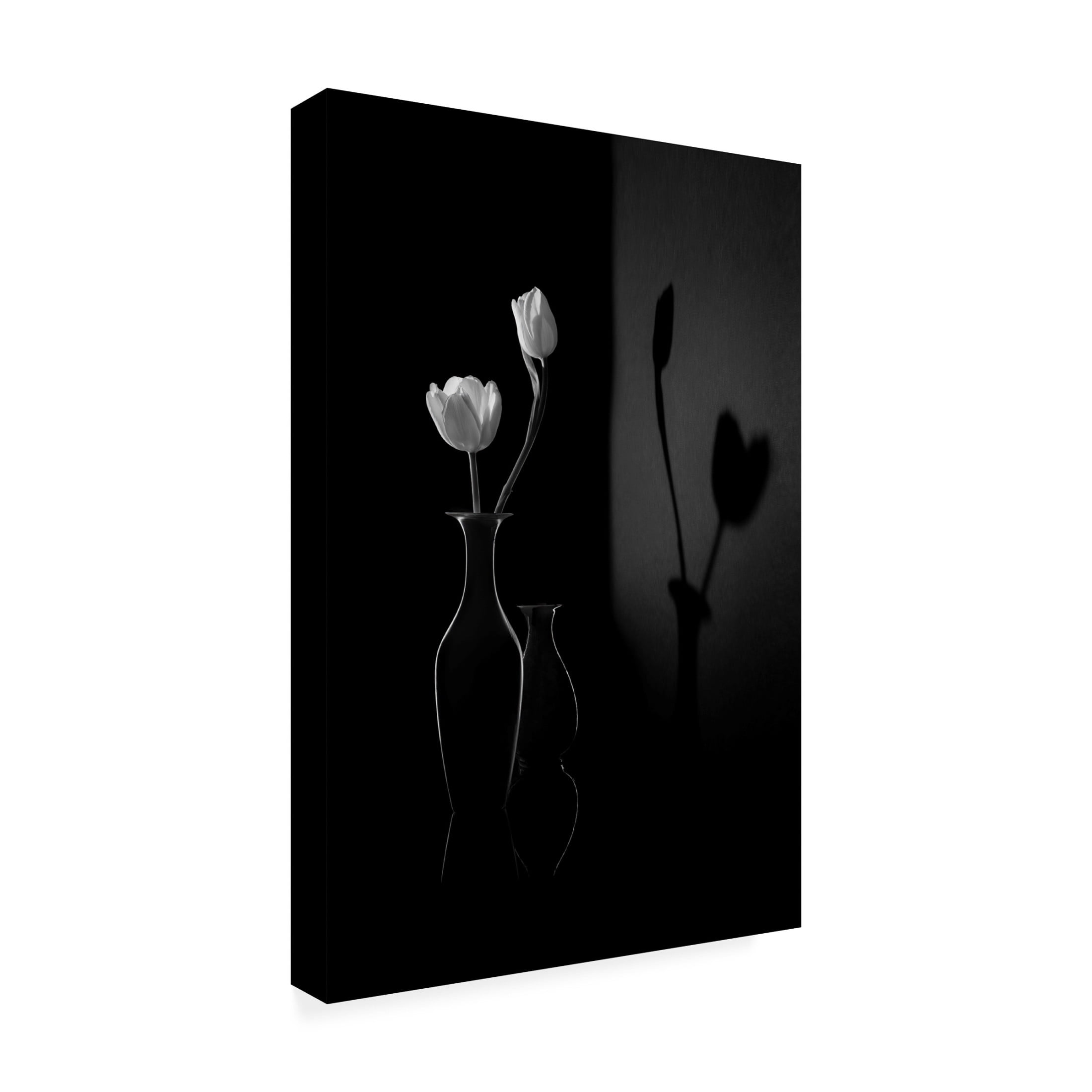 Trademark Fine Art Libby Zhang  The Shadow of Spring Canvas Wall Art