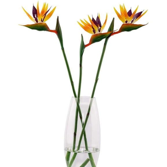 Manunclaims Artificial Flower Bird Of Paradise, Set of 3Pcs, UV Resistant No Fade Fake Plant Silk Strelitzia Reginae, Suitable for DIY Home Decor Party Theme Display