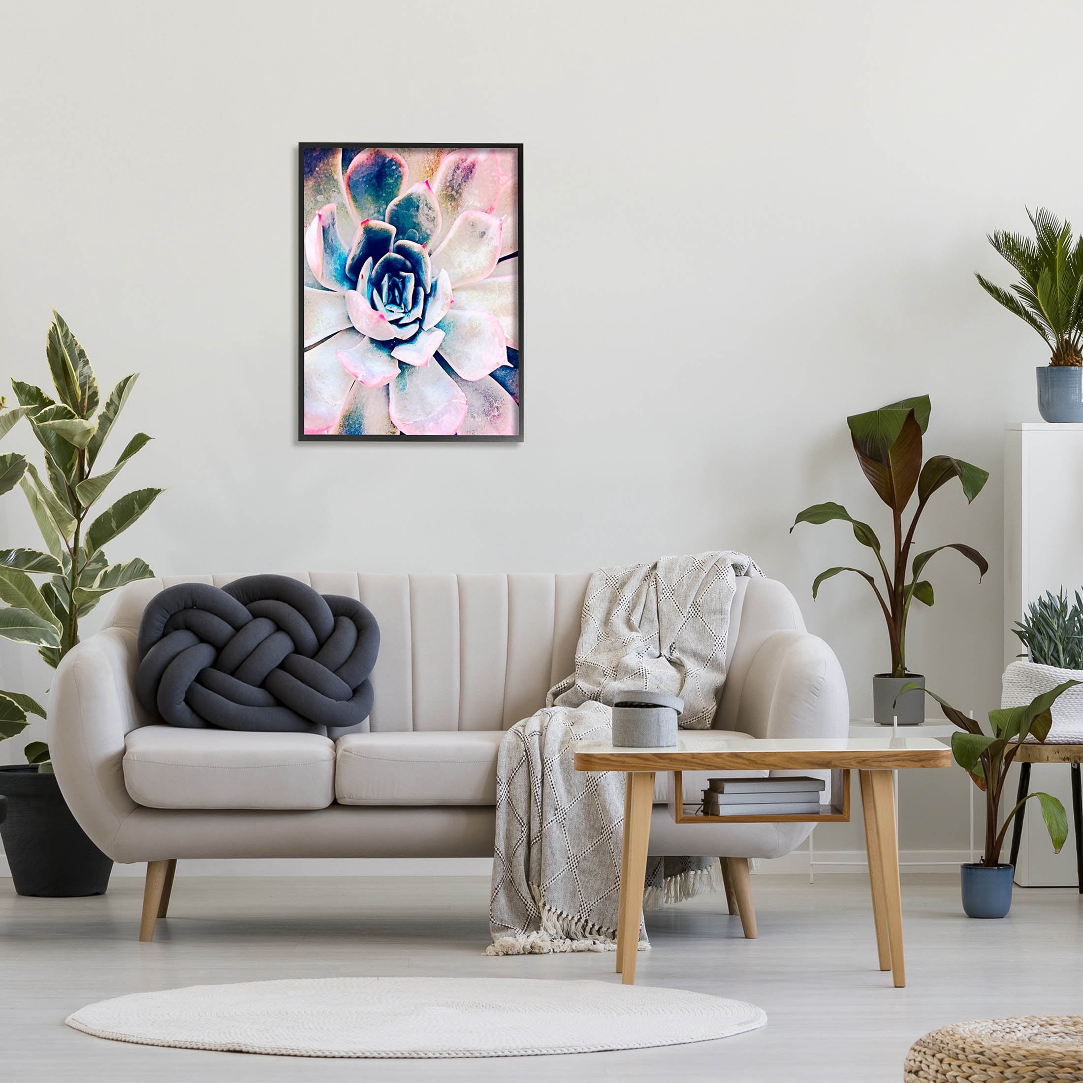 Modern Succulent Plant View Botanical & Floral Photograph Black Framed Art Print Wall Art