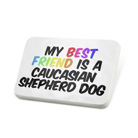 Porcelein Pin My best Friend a Caucasian Shepherd Dog from Georgia Lapel Badge –