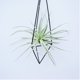 thumbnail image 4 of Decoración de soporte de flores de hierro colgante de piña de aire-percha de altura media 25cm con material de cuerda de cáñamo hierro ANGGREK Otros, 4 of 7