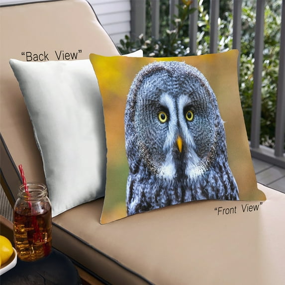 Ahgly Company Animals Owl Outdoor Throw Pillow, 18 inch by 18 inch