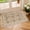 Khaki, variant on 2x3 Indoor Entryway Rug, Small Washable Area Rug Non-Slip Vintage Door Mat Entrance, Animal Low Pile Floor Carpet for Door, Entrance, Hallway,Farmhouse,Bathroom, Bedroom
