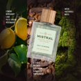 thumbnail image 4 of Perfume Mistral Golf Valbonne Eau de Parfum para hombre, 100 ml, 4 of 6
