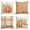 Orange, variant on Sm:)e Hello Fall Hello Pumpkin Throw Pillow Covers, 18 x 18 Inch Autumn Thanksgiving Harvest Orange Eucalyptus Decorations for Sofa Couch Set of 4