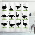 thumbnail image 1 of Ambesonne Ostrich Shower Curtain, Animal Silhouette Grass, 69"Wx70"L, Fern Green White, 1 of 3