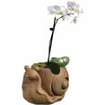 thumbnail image 2 of Classic Home and Garden Cement Buddies Indoor Outdoor Planter with Drainage Hole, Smiling Snail, Rust Brown, Large, 8in, 2 of 4