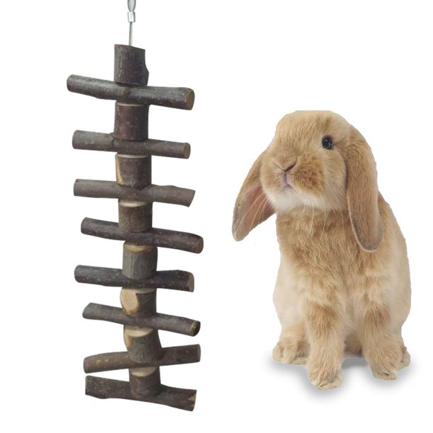 Bunny Chew Toy Pet Tooth Chew Stick Natural Apple Wooden Molar Rod for