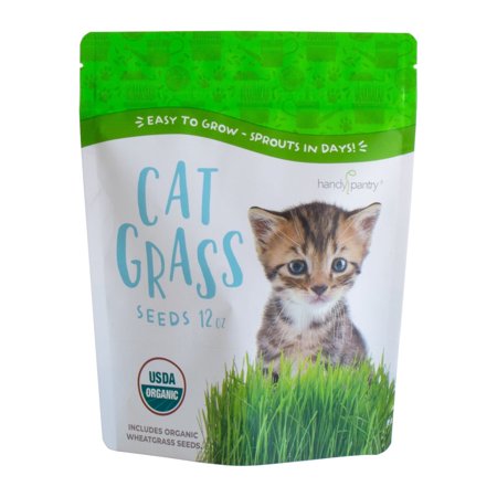 Organic Cat Grass Seeds – Non-GMO Hard Red Wheatgrass Seeds for Cats, Dogs, Rabbits – Grows in Cat Grass Kits – 12 oz
