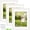 White Wood Grain, variant on Auralyn Home 11x14 Picture Frames Set of 3, Fits 8x10 with Mat or 11x14 Without Mat, Includes Hanging Kit, Wood Grain