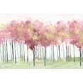 thumbnail image 2 of Pearce, Allison 32x23 White Modern Wood Framed Museum Art Print Titled - Blush Visions, 2 of 4