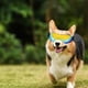 thumbnail image 2 of Dog Goggle for Small Dog UV Protection Wind Protection Dog Sunglasses for Dog Outdoor Activities, 2 of 4