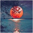 thumbnail image 1 of Moon 5D DIY Full Drill Diamond Painting, 1 of 3