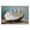 Sea Shell Still Life, variant on Stupell Industries Traditional Mollusk View Nautical & Beach Painting Wrapped Canvas Art Print Wall Art, 24 x 16