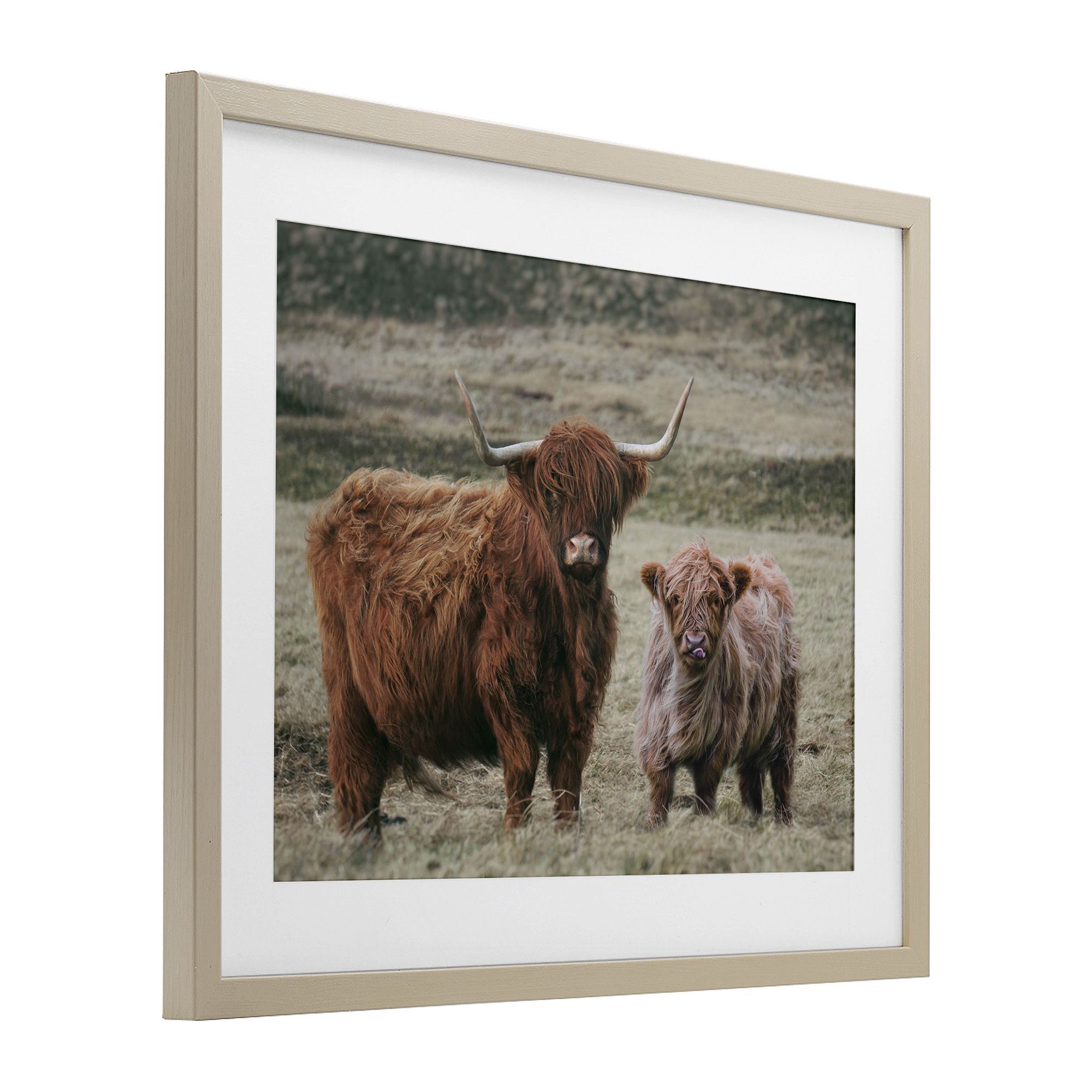 Mom & Baby Cow Birch Framed Print Under Glass, design by Lettered and Lined