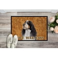 thumbnail image 2 of Carolines Treasures SC9134JMAT Paillasson Intérieur Ou Extérieur 24 x 36 Po Springer Spaniel, 2 of 4