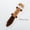 Auburn, variant on Pet Chewing Toys Animal Raccoon Squirrel Bite resistant Molar Sound Plush Squeaky Dog Toy for Small Dogs  Puppy  Pet Products