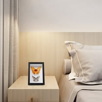 Soimiss Specimen Display Board Wooden Frame Black 1Pcs