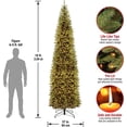 thumbnail image 3 of Árbol de Navidad, abeto Kingswood de National Tree Company, 10 pies, 3 of 4