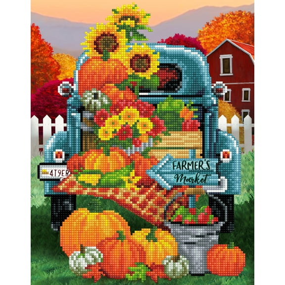 DIAMOND DOTZ® Farmers Market Special Edition Diamond Painting Kit