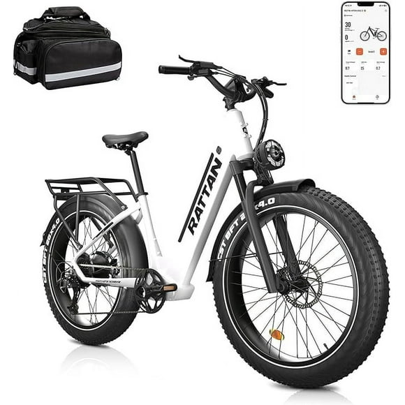 rattan ebike